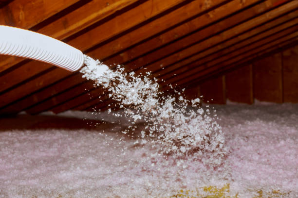 Best Cellulose Insulation in Bayou Gauche, LA
