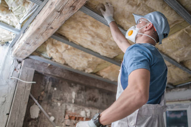 Best Eco-Friendly Insulation in Bayou Gauche, LA
