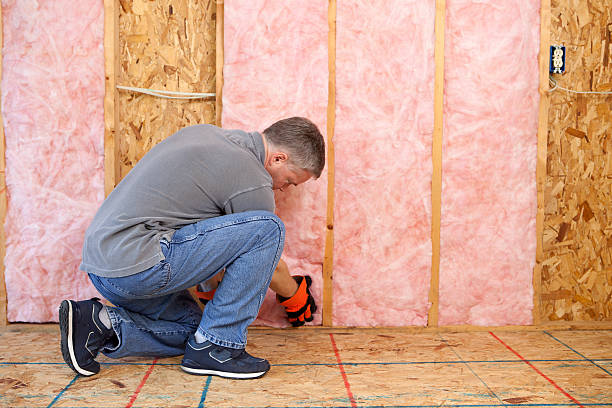 Best Spray Foam Insulation in Bayou Gauche, LA