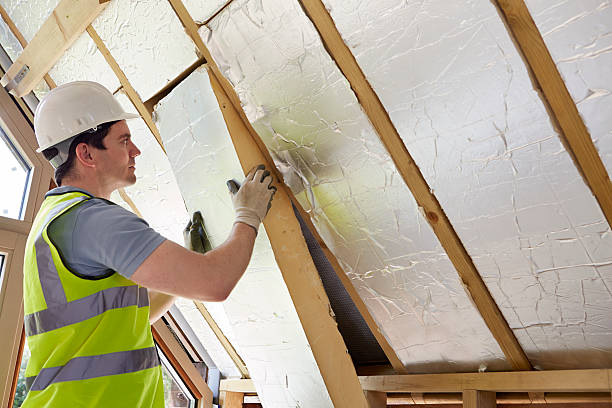 Best Eco-Friendly Insulation in Bayou Gauche, LA