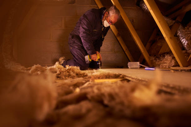 Best Specialized Insulation Services in Bayou Gauche, LA